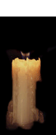 wax.gif